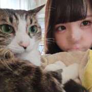 ヒメ日記 2026/04/30 19:21 投稿 こまり☆激かわ純粋無垢な宝石♪ 妹系イメージSOAP萌えフードル学園 大宮本校