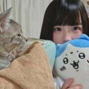 ヒメ日記 2026/08/07 18:32 投稿 こまり☆激かわ純粋無垢な宝石♪ 妹系イメージSOAP萌えフードル学園 大宮本校