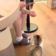 ヒメ日記 2026/08/12 06:40 投稿 こまり☆激かわ純粋無垢な宝石♪ 妹系イメージSOAP萌えフードル学園 大宮本校