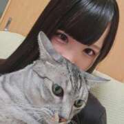 ヒメ日記 2026/09/10 06:35 投稿 こまり☆激かわ純粋無垢な宝石♪ 妹系イメージSOAP萌えフードル学園 大宮本校