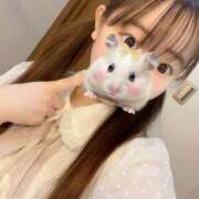 ヒメ日記 2026/04/12 19:50 投稿 りおな アイドルソープ　萌えっ娘学園