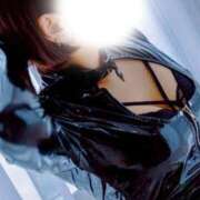 ヒメ日記 2026/04/14 07:00 投稿 岬(みさき) 黒薔薇