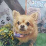 ヒメ日記 2026/04/09 22:06 投稿 広田せな 渋谷エオス