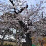 広田せな おはようございます！ 渋谷エオス