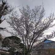 ヒメ日記 2026/04/20 15:10 投稿 広田せな 渋谷エオス
