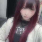 ヒメ日記 2026/04/14 20:53 投稿 ひめ コーチと私と、ビート板･･･