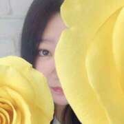 ヒメ日記 2026/04/14 11:11 投稿 つづり 千葉松戸ちゃんこ