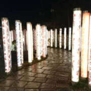 ヒメ日記 2026/04/15 10:29 投稿 つづり 千葉松戸ちゃんこ