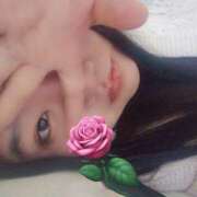 ヒメ日記 2026/04/18 10:45 投稿 つづり 千葉松戸ちゃんこ