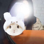 つづり 朝が来た！(既に昼！笑) 千葉松戸ちゃんこ