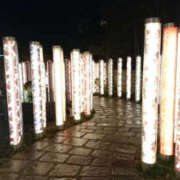 ヒメ日記 2026/04/25 18:50 投稿 つづり 千葉松戸ちゃんこ