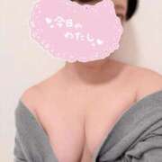 ヒメ日記 2026/04/24 10:42 投稿 えりこ 横浜ひよこ倶楽部