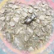 ヒメ日記 2026/05/18 09:35 投稿 わか 横浜おかあさん