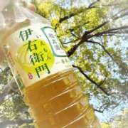 ヒメ日記 2026/05/18 21:05 投稿 わか 横浜おかあさん