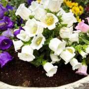 ヒメ日記 2026/05/25 00:05 投稿 わか 横浜おかあさん