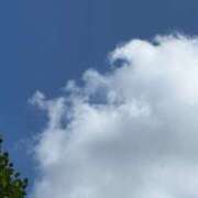 ヒメ日記 2026/07/09 09:15 投稿 わか 横浜おかあさん
