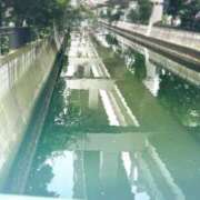 ヒメ日記 2026/07/16 11:55 投稿 わか 横浜おかあさん