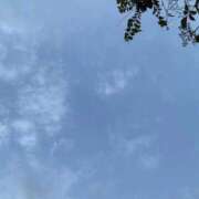ヒメ日記 2026/08/12 19:35 投稿 わか 横浜おかあさん