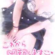 ヒメ日記 2026/05/20 13:46 投稿 山吹 熟女の風俗最終章 新横浜店
