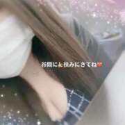 ヒメ日記 2026/09/04 11:03 投稿 山吹 熟女の風俗最終章 新横浜店