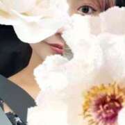 天の麗奈 天の麗奈です♡ メルビス＆アトリアーナ