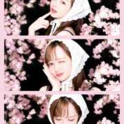 ヒメ日記 2026/04/28 15:08 投稿 ゆきの PHANTOM(ファントム)