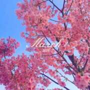 ヒメ日記 2026/04/13 07:52 投稿 大槻　りかほ エテルナ京都