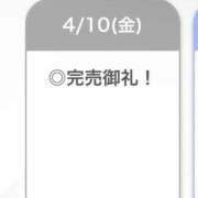 ヒメ日記 2026/04/10 19:10 投稿 ひなこ【美脚のモデル美女】 STELLA TOKYO－ステラトウキョウ－