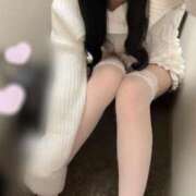 にと はじめまして🐶❕ 池袋しろパラ