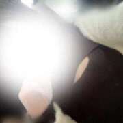 にと おはようございます🐶💭 池袋しろパラ