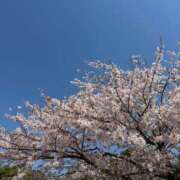 こはく 休日☕️ コートダジュール