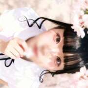 ヒメ日記 2026/04/14 13:10 投稿 ももち ドリーム水戸