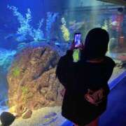 ヒメ日記 2026/04/17 18:29 投稿 りり スピードエコ日本橋店