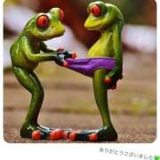 ヒメ日記 2026/09/20 13:33 投稿 ひろこ 熟女の風俗最終章 国分寺店