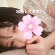 ヒメ日記 2026/04/14 12:11 投稿 霜月こはる グランエステ東京 品川（シンデレラグループ）