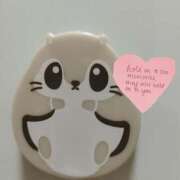 ヒメ日記 2026/04/13 14:01 投稿 小向つむぎ ABC 岩手ソープ