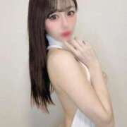 ヒメ日記 2026/04/28 05:30 投稿 ひなた CECIL