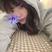 ヒメ日記 2026/04/11 12:48 投稿 ももな【シルバーアロー】 Arrows 苫小牧・千歳店