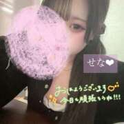 ヒメ日記 2026/04/14 12:55 投稿 せな 素人巨乳ちゃんこ「東千葉店」