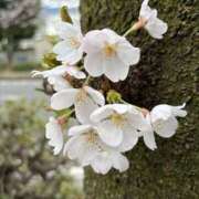 はな はなです！ ナチュラルミセス