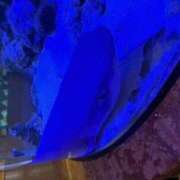 ヒメ日記 2026/06/22 01:09 投稿 村上　麗華 イラマチーオ新宿店