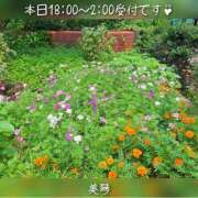 ヒメ日記 2026/07/16 14:30 投稿 美琴-みこと 熟女10000円デリヘル横浜