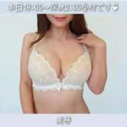 ヒメ日記 2026/07/16 15:50 投稿 美琴-みこと 熟女10000円デリヘル横浜