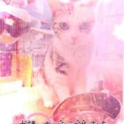 ヒメ日記 2026/05/30 05:30 投稿 竹中(たけなか) Ageha（あげは）