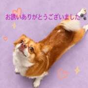 ヒメ日記 2026/09/12 09:22 投稿 竹中(たけなか) Ageha（あげは）