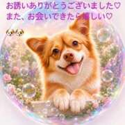 ヒメ日記 2026/10/19 21:00 投稿 竹中(たけなか) Ageha（あげは）