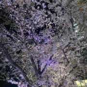 村山(むらやま) ありがとうございました💓 人妻出逢い会 百合の園 山の手本店