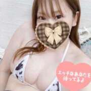 ヒメ日記 2026/07/05 06:41 投稿 みつき One More奥様　蒲田店