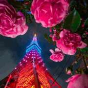 東雲 出勤 新宿人妻城