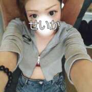 ヒメ日記 2026/04/15 10:55 投稿 せいか 大和人妻城